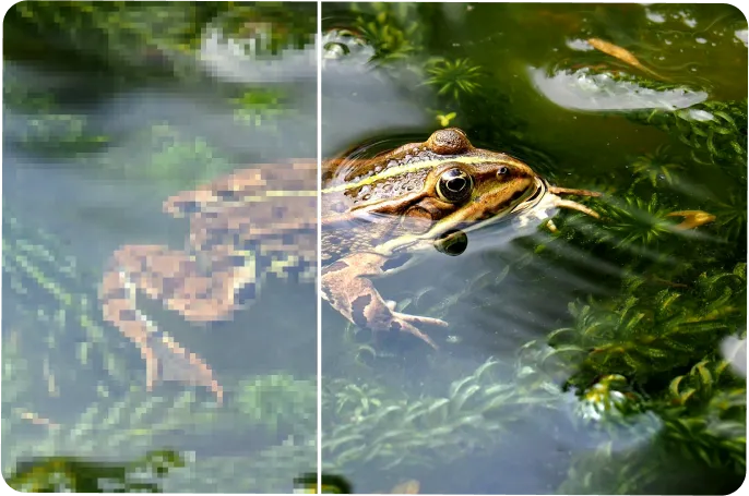 featureInstantly Remove Blur from Photos