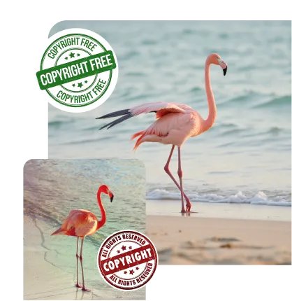 featureGet the Perfect Similar Image Instantly with AI and Save Time Searching for Royalty Free Images Online