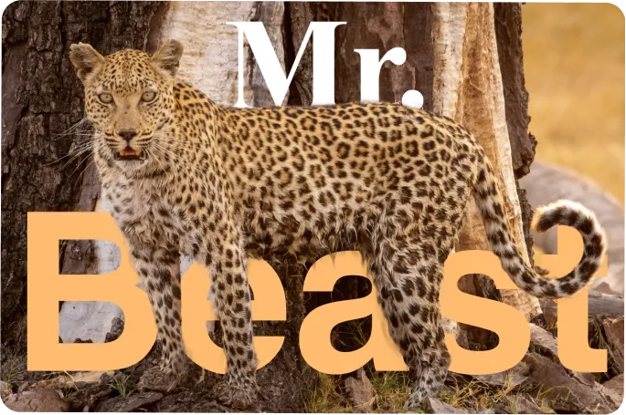 featureMake Your YouTube Thumbnails Stand Out by Add Text to Picture Online